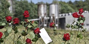 Rote Rosen sind in einen Zaun gesteckt, der in Lety eine ehemaliges NS-Zwangsarbeitslager begrenzt