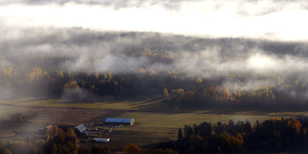 eine schwedische Landschaft, über der Nebelschwaden hängen