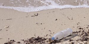 Plastikflasche am Strand