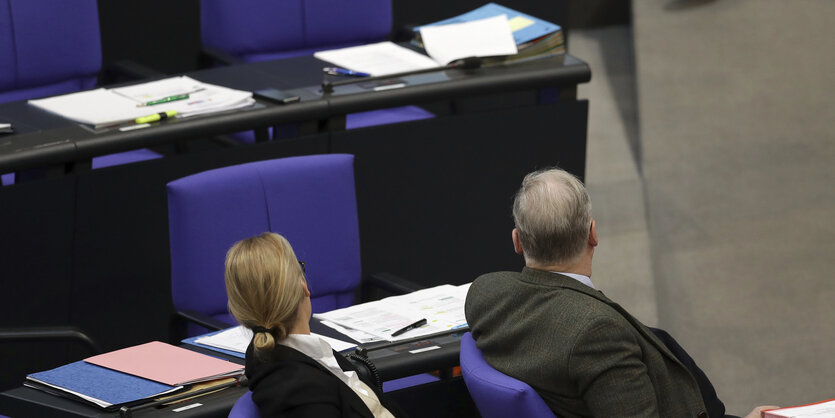 Alice Weidel und Alexander Gauland im Bundestag, vom Betrachter abgewandt