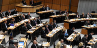 AfD-Abgeordentenhausfraktion im Plenarsaal