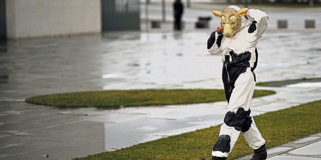 Demonstrant im Kuh-Kostüm
