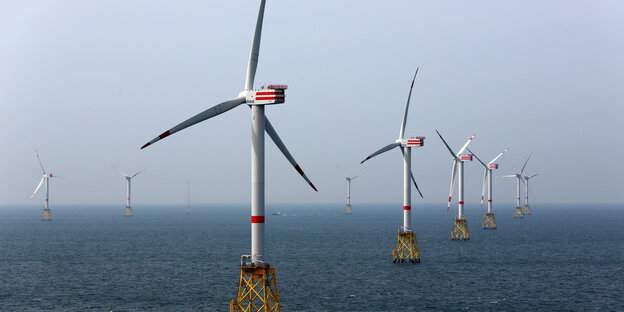 Windräder im Windpark Nordsee Ost, 30 km vor Helgoland (Schleswig-Holstein)