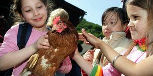 Kinder halten ein Huhn