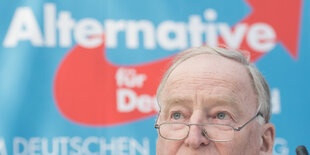 Der AfD-Fraktionsvorsitzende im Bundestag, Alexander Gauland.