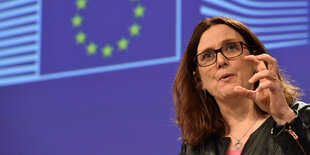 Porträt Malmström