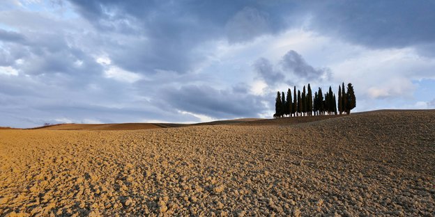 Eine italienische Brachlandschaft mit ein paar Zypressen am Horizontz