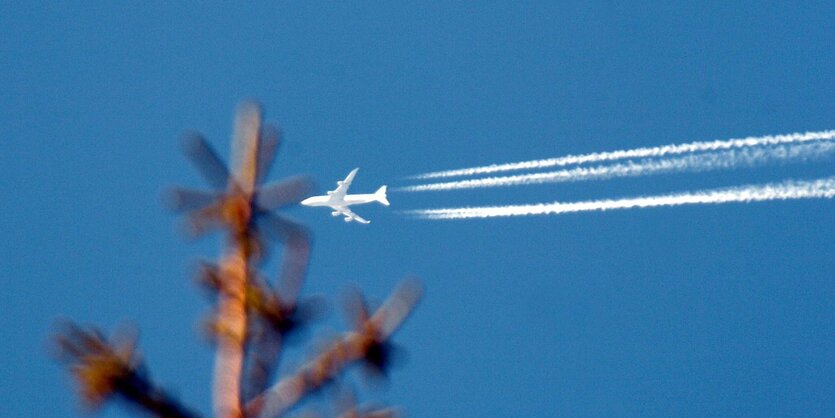 Am blauen Himmel fliegt ein Flugzeug, im Vordergrund verschwommen ein rötliches Gebilde