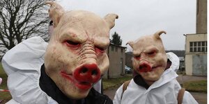 Aktivisten in Schweinemasken und weißen Schutzanzügen stehen vor Gebäuden