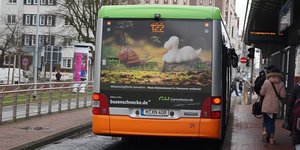Bus mit Busenschnecke-Werbung