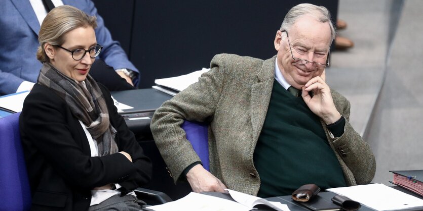 Alexander Gauland mit Alice Weidel im Bundestag