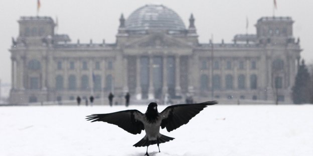 Schnee liegt vor dem Bundestag, eine Krähe spreizt die Flügel