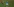 Drei Fußballspieler auf einem feld