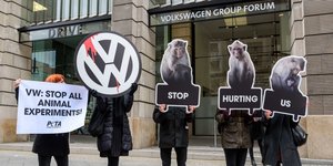 Aktivisten mit Transparenten gegen Abgas-Affentests