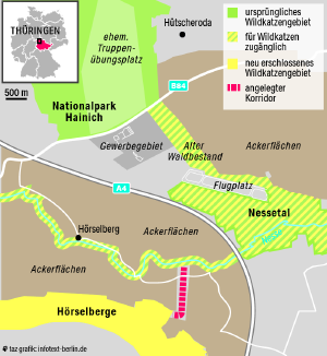 Eine detaillierte Landkarte zeigt den Verlauf des Katzenkorridors zwischen Hainich und Hörselbergen