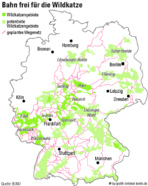 Eine Deutschlandkarte, auf der das Wildkatzenwegenetz visualisiert ist