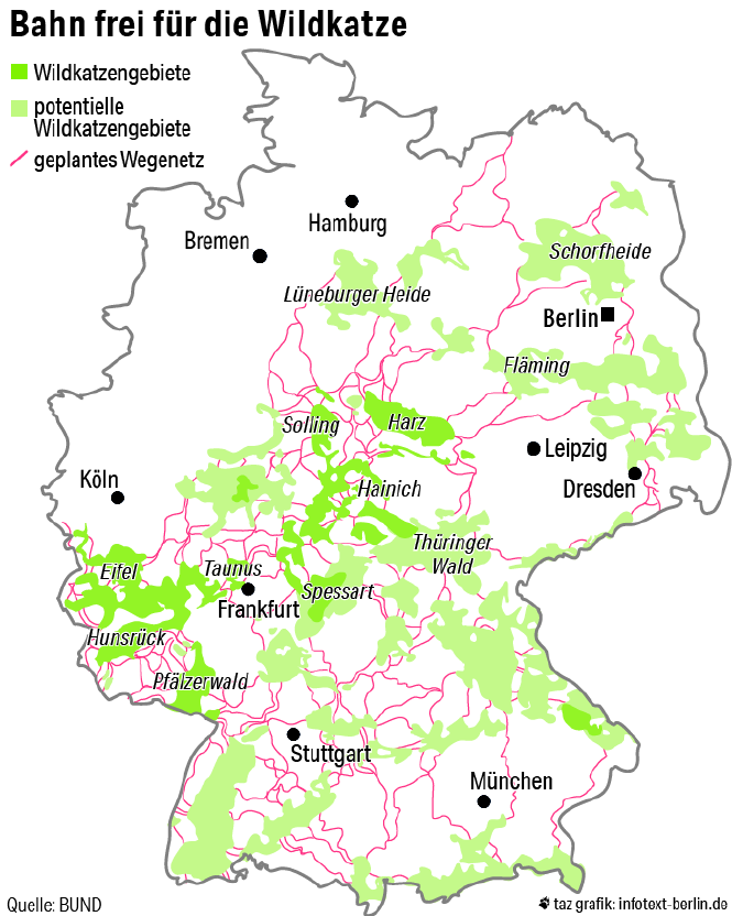 Eine Deutschlandkarte, auf der das Wildkatzenwegenetz visualisiert ist