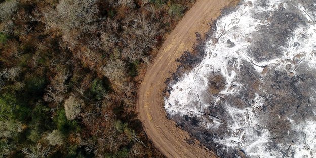 Luftaufnahme: Eine nach Brand-Rodung mit Asche bedeckte Fläche