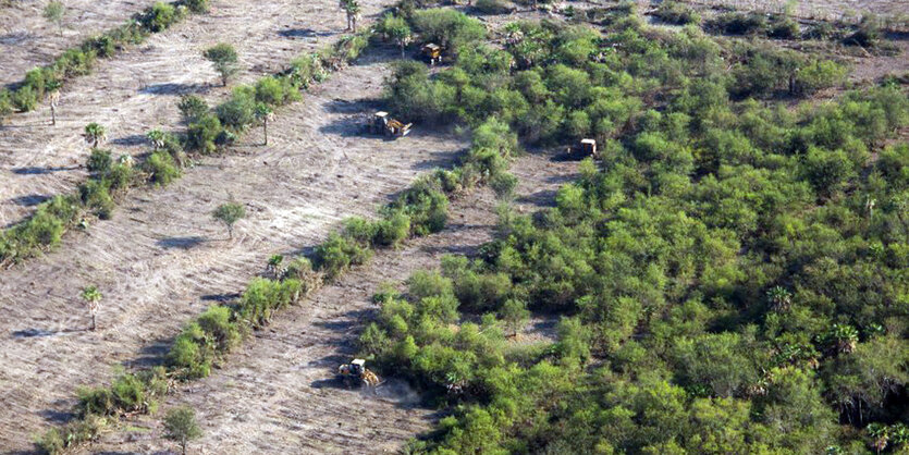 Rodungen für Sojaanbau in Paraguay