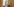SPD-Umweltministerin Svenja Schulze posiert für ein Foto an einem Geländer