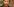 Gesicht von Julia Kristeva