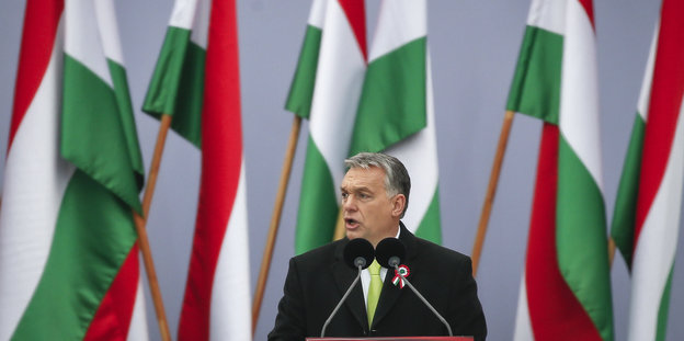 Ein Mann mit grauen Haaren spricht in zwei Mikrofone, hinter ihm viele rot-weiß-grünen Flaggen