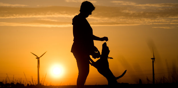 Ein Hund springt im Sonnenuntergang an einem Menschen hoch.