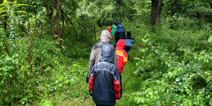 Kinder einer freien Schule auf dem Weg durch einen Wald in Berlin