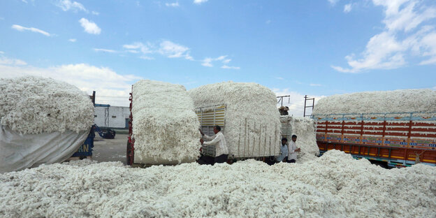 Mehrere Männer beladen Lastwägen mit Baumwolle.