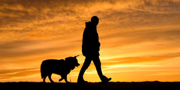 Mensch und Hund gehen zusammen spazieren