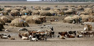 Dorfplatz in Mali mit Zelten und Kühen