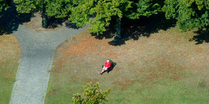 Eine Person sitzt auf einem Stuhl auf einer Grünfläche mit Bäumen außenrum.
