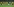 BVB-Spieler nach dem Spiel