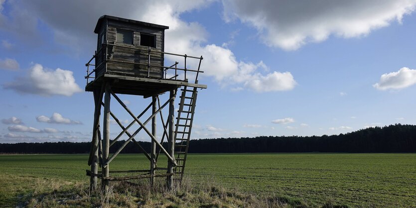 Hochstand auf einem freien Feld - im Hintergrund Wald