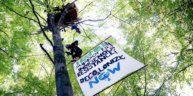 Ein Aktivist klettert in ein Baumhaus