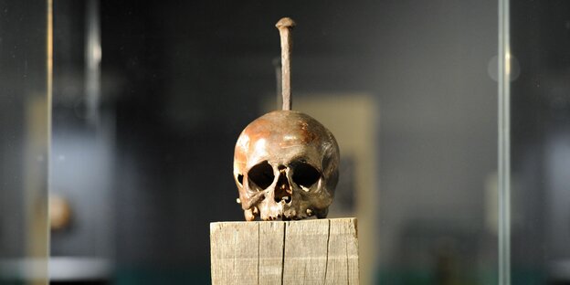 Störtebeker-Schädel mit Nagel im Museum