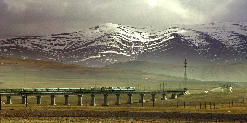 ein Zug auf einer Brücke, die über eine Ebene vor einem Gebirge führt