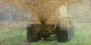 Ein Trecker bringt Gülle auf einem Maisfeld aus