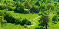 Zwei Menschen gehen durch eine grün strahlende, mit Bäumen und Büschen bewachsene Landschaft