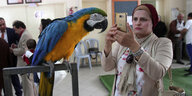 Eine Frau fotografiert einen Papagei