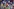 Viele Donald-Duck-Figuren