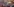 Panzer von Menschen umringt