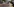 Blick in die Redaktion des Handelsnblatts