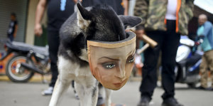 Hund mit einer Maske mit menschlichem Gesicht - schaut in die Kamera. In Nicaragua wird der Konflikt zwischen der Regierung unter Ortega und der Opposition nicht beigelegt.