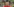 Polens Nationalspieler Robert Lewandowski schaut entschlossen in die Kamera