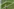 Ein verzweifelt wirkender brasilianischer Spieler