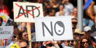 Demonstrant*innen bei einer Anti-AfD-Demo halten Schilder mit einem durchgestrichenen AfD-Schriftzug und einem „No“ mit Hitlerfrisur und -bart in die Höhe