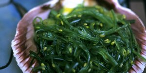 Ein Salat aus grünen Seealgen ist auf einer Muschelschale drapiert