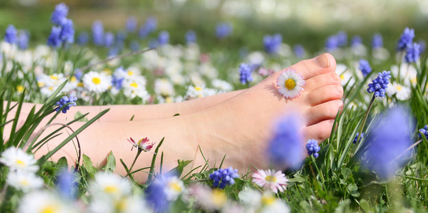 Ein Fuß zwischen Blumen im Gras
