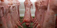Schweinehälften hängen in einem Kühlhaus